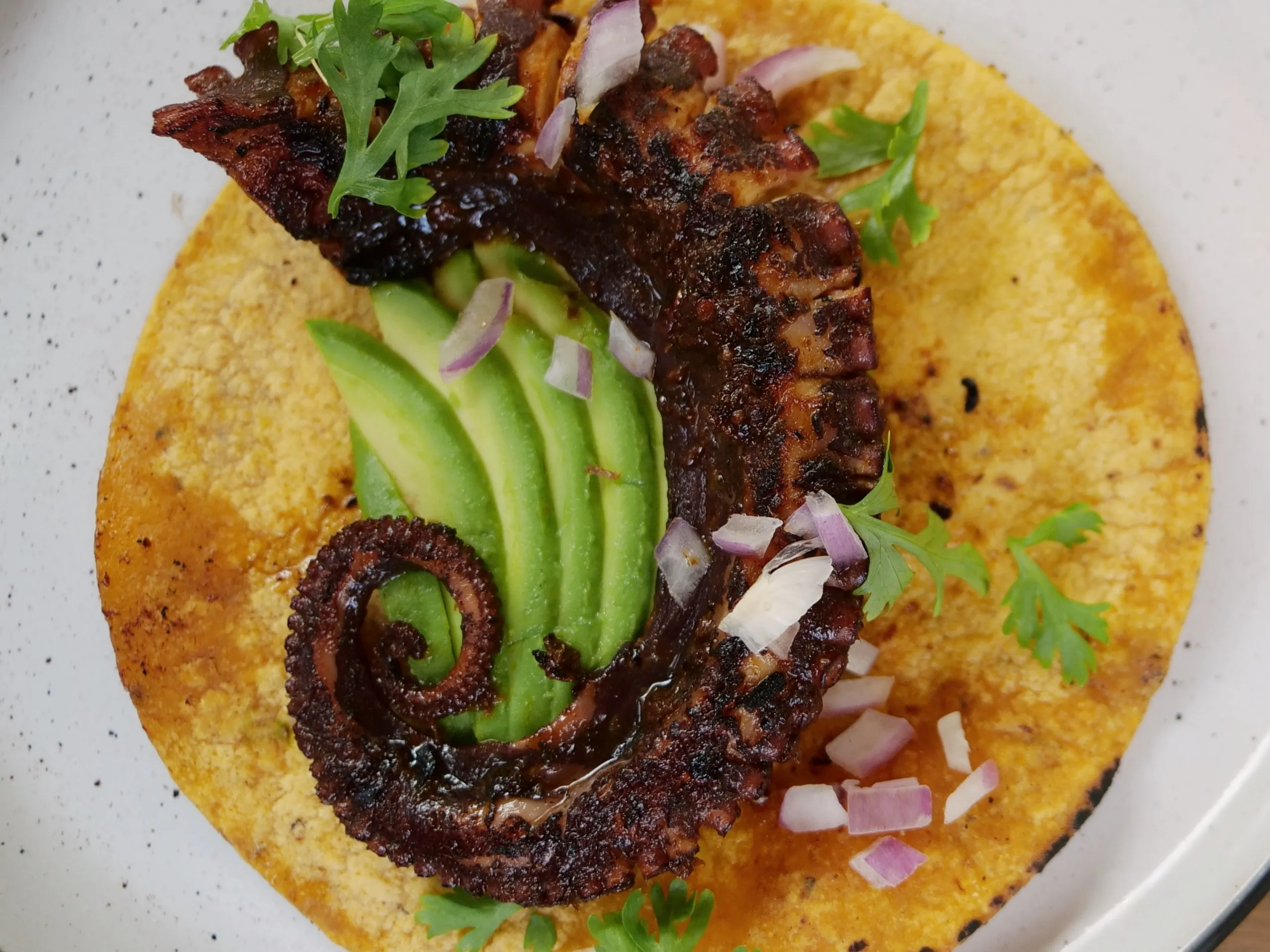 Fremantle's Octopus with Oaxaca's Chintextle